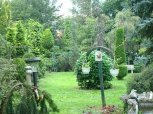 Gartenumgestaltung und Pflegeopjekt in Esterwegen